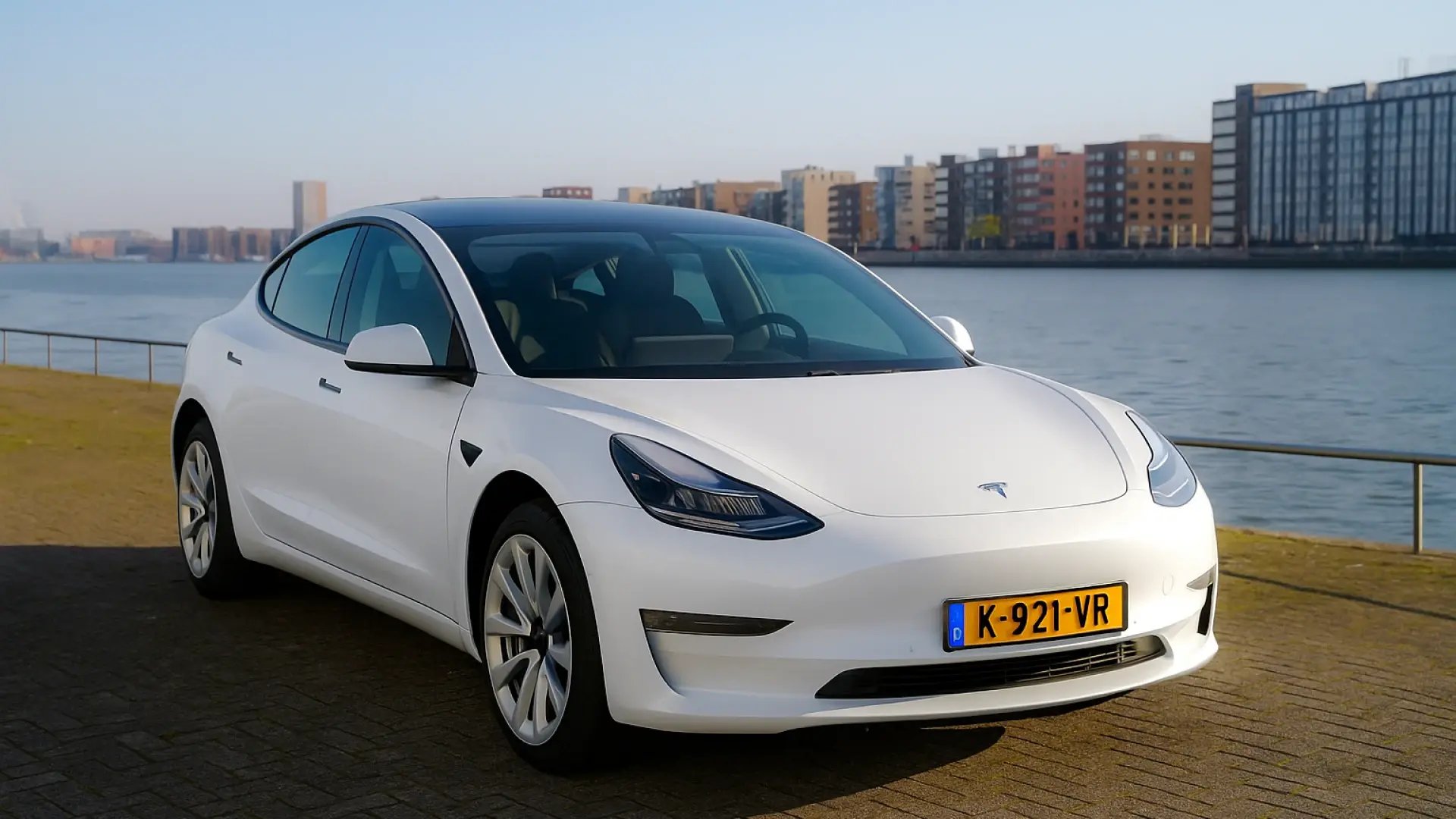 tesla3_luxe